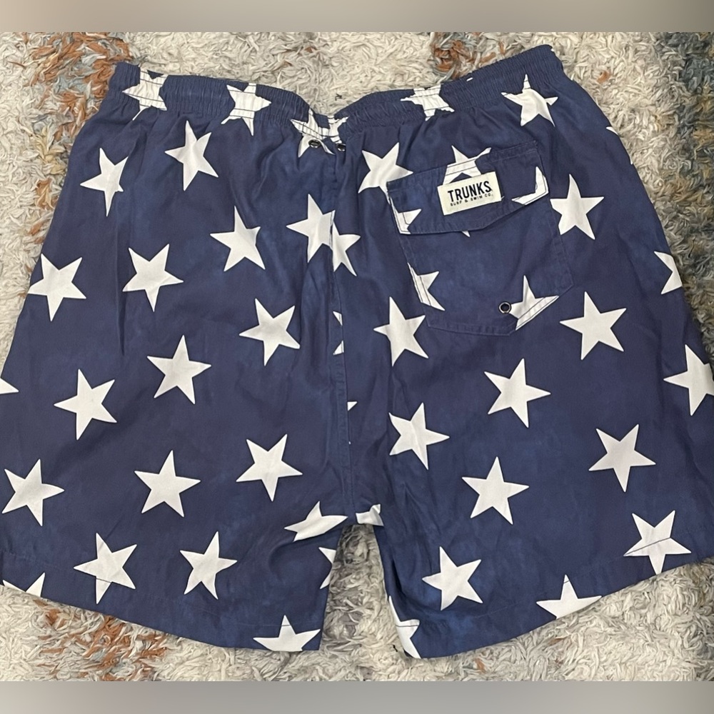 Trunk Surf & Swim Co. Bathing Suit *Like New*. Size L - Picture 4 of 4